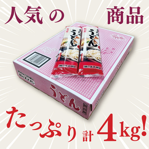 【麺のスナオシ】リピーター続出！手打風うどん１箱　4kg（200ｇ×20袋）（乾麺）（BY-7）