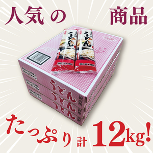 【麺のスナオシ】リピーター続出！手打風うどん３箱　計12kg（200ｇ×60袋）（乾麺）（BY-8）