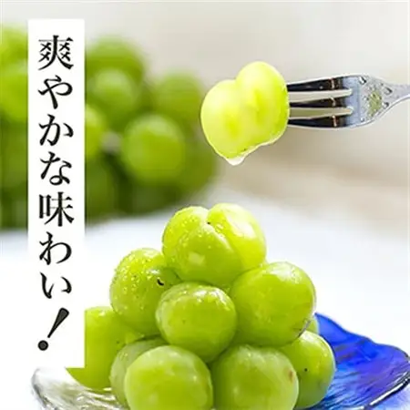 【先行受付】岡山県産　瀬戸ジャイアンツ2房　(1房480g以上)合計約1kg　化粧箱入り【配送不可地域：離島・北海道・沖縄県】【1357578】