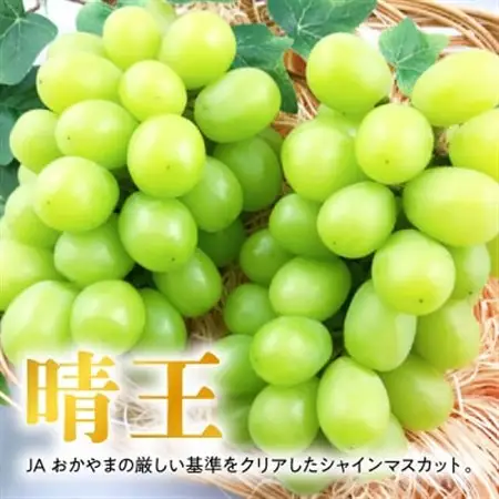 【2026年発送】岡山名産【晴王】シャインマスカット2kg!8月下旬以降順次発送【配送不可地域：離島】【1365277】
