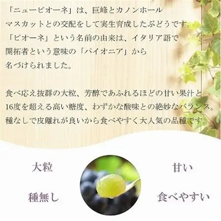 【2026年8月より発送】ご家庭用　岡山県産　ピオーネ　2kg(3～6房)【配送不可地域：離島】【1409719】