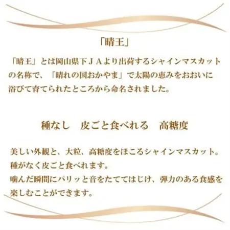 【2026年8月下旬より発送】ご家庭用　岡山県産　シャインマスカット　晴王　600g×1房【配送不可地域：離島】【1409721】
