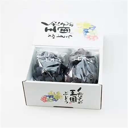 【2026年発送】岡山県産ニューピオーネ約1.2kg(2房)【配送不可地域：離島】【1413100】