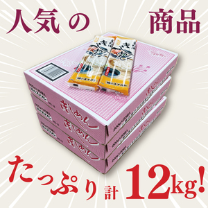 【麺のスナオシ】手打風きしめん３箱　計12kg（200ｇ×60袋）（乾麺）（BY-14）