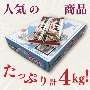 【麺のスナオシ】水戸発　おいしいうどん１箱　4kg（200ｇ×20袋）（乾麺）（BY-15）