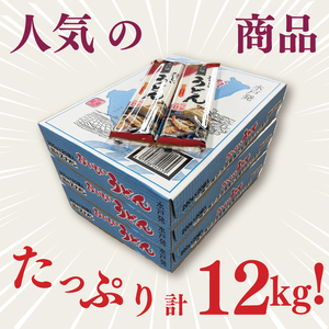 【麺のスナオシ】水戸発　おいしいうどん３箱　計12kg（200ｇ×60袋）（乾麺）（BY-16）