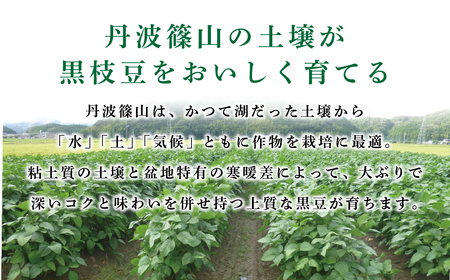 【早期予約/2026年10月発送】丹波篠山黒枝豆 1.2kg(400gx3袋) 黒枝豆 小分け CD101