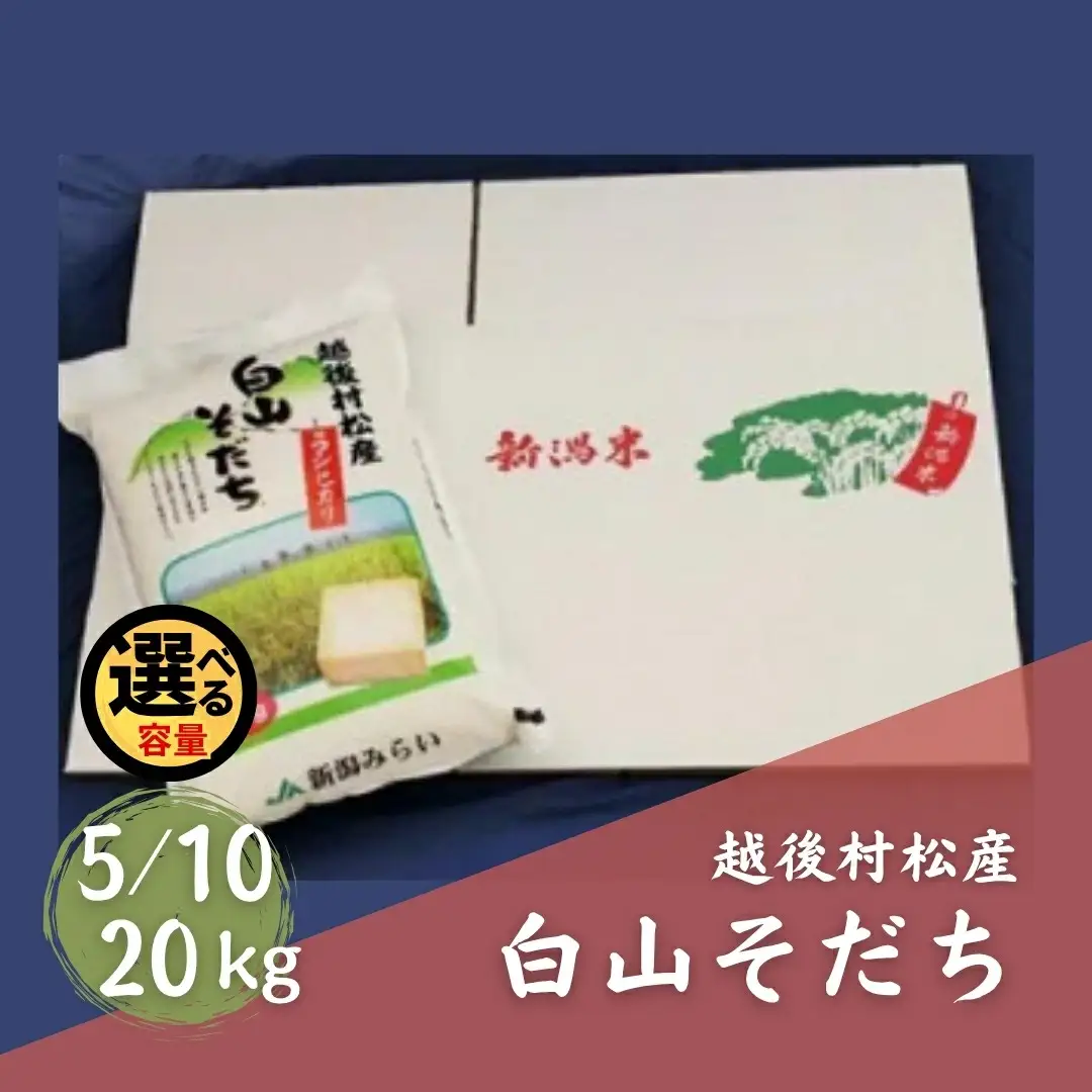 令和7年産 五泉産コシヒカリ「白山そだち」20kg | 新潟県 コシヒカリ