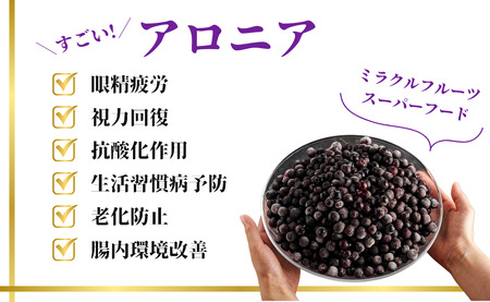【先行予約】アロニア（ブラックベリー）1kg アロニア JA小松市