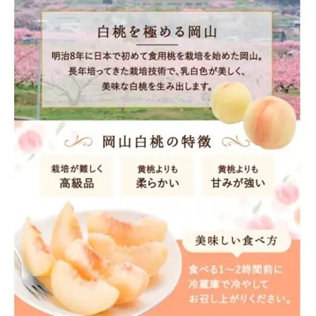 【先行受付】岡山県産　白桃 6玉(1.5kg以上) 等級:ロイヤル 化粧箱入り【配送不可地域：離島・北海道・沖縄県】【1499099】