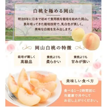 【先行受付】岡山県産　白桃 8玉(2.0kg以上) 等級:ロイヤル 化粧箱入り【配送不可地域：離島・北海道・沖縄県】【1499100】