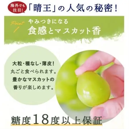 【先行受付】岡山県産 シャインマスカット『晴王』 3～5房 (約2kg)【配送不可地域：離島・北海道・沖縄県】【1499103】
