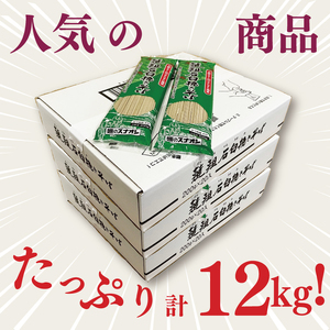 【麺のスナオシ】韃靼石臼挽きそば３箱　計12kg（200ｇ×60袋）（乾麺）（BY-22）