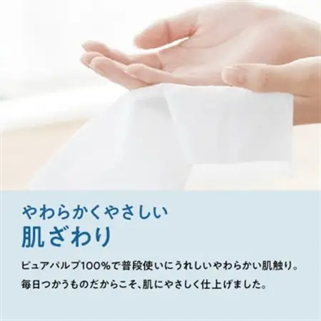 【津山工場限定】エリエール i:na(イーナ)ティシュー 220組5箱×12パック(60箱)【配送不可地域：離島・北海道・沖縄県】【1515019】