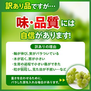 【先行予約】 令和8年産 訳あり シャインマスカット 2kg 2026年9月上旬頃～お届け予定