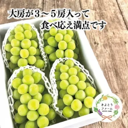 シャインマスカット 上級品 大3-5房/計2.4kg～(岡山県産) 食べ応え満点のシャインをお届け!【配送不可地域：離島】【1548983】