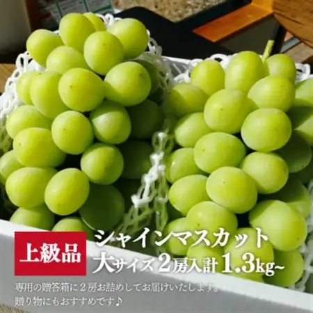 【数量限定】シャインマスカット 大サイズ 2房入/計1.3kg～(岡山県産) 贈答にもおすすめ!【配送不可地域：離島】【1548991】