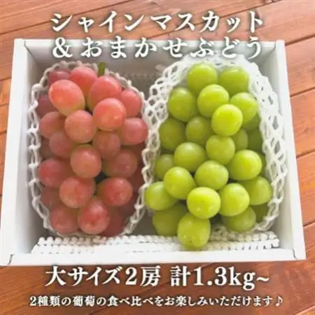 シャインマスカット＆生産者いちおし葡萄 大サイズ 2房入/計1.3kg～ (岡山県産)【配送不可地域：離島】【1553232】