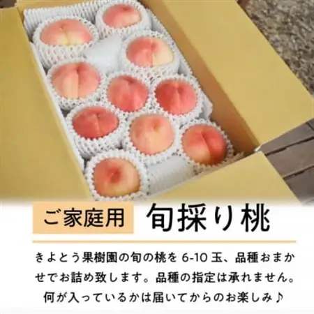 旬採り桃(品種おまかせ) ご家庭用 6-10玉 ご家族で楽しめる玉数をお届けします (岡山県産)【配送不可地域：離島】【1571591】