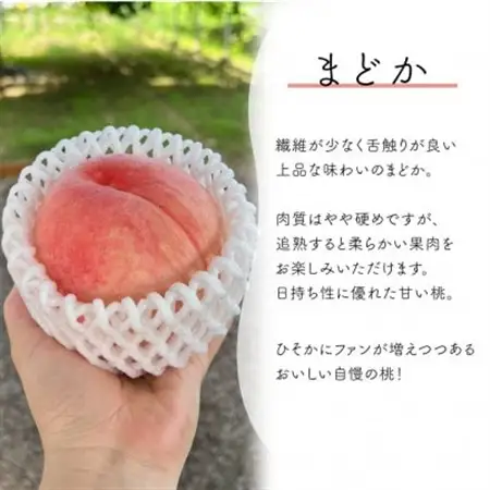 上品な肉質 「まどか」 ご家庭用 5-7玉 (岡山県産) きよとう果樹園の人気桃!【配送不可地域：離島】【1571599】