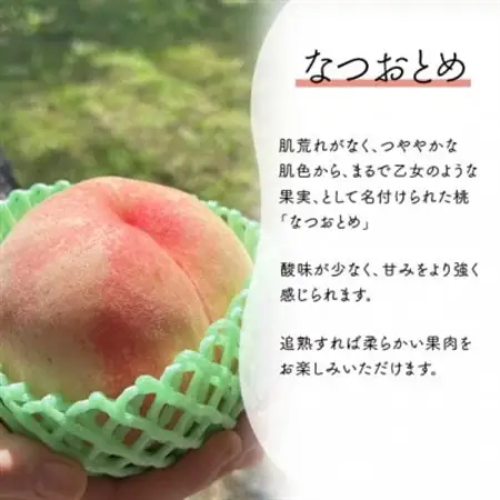 乙女のような可愛いさと甘さの桃「なつおとめ」上級品 5-7玉 (岡山県産)【配送不可地域：離島】【1571600】