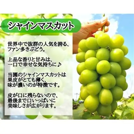 【2026年先行受付】訳あり岡山県産シャインマスカット4kg【配送不可地域：離島】【1571849】
