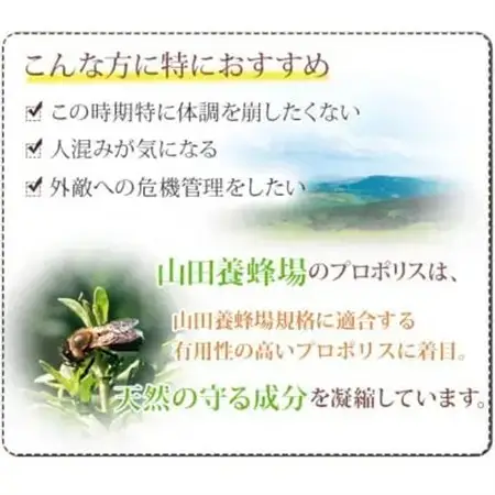 【毎月定期便】プロポリス粒 (486)全12回【4008980】