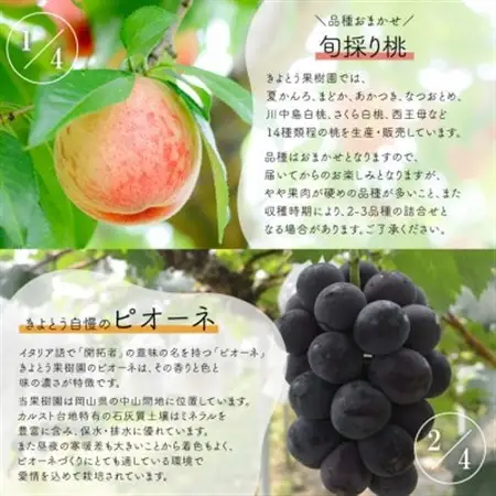 【発送月固定定期便】果樹園まるごと、桃と葡萄と梨が少しずつ届く!【お試し定期便】(岡山県産)全4回【配送不可地域：離島・北海道・沖縄県】【4061986】
