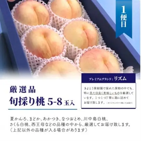 【発送月固定定期便】桃、ぶどう、梨の最上級品を旬の時期にお届け!果樹園の厳選セット(岡山県産)全3回【配送不可地域：離島・北海道・沖縄県】【4062767】