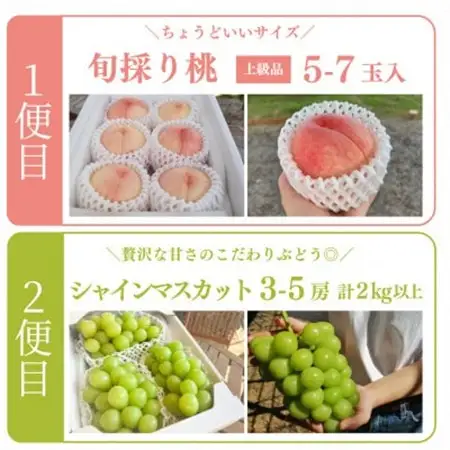 【発送月固定定期便】量も質も満足便! 桃とシャインマスカットどっちも食べたい! (岡山県産)全2回【配送不可地域：離島・北海道・沖縄県】【4063159】