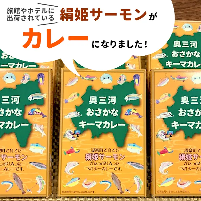 絹姫サーモン奥三河おさかなキーマカレー　6個セット  レトルトカレー カレー 魚カレー -009