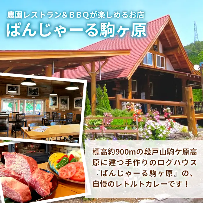 お肉ごろっと！たけうち牧場のビーフカレー カレー 牛肉カレー レトルトカレー ご当地カレー 段戸牛カレー 7個セット -024