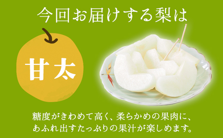 さかもと果樹園の玉東梨 甘太梨 約5kg (6玉-18玉前後) 《9月中旬-9月下旬頃出荷》【日付指定・品種指定不可】 熊本県玉名郡玉東町 ｜なし フルーツ ナシ 果物 熊本県梨 玉東町梨