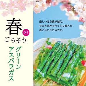 SA2879　グリーンアスパラガス Lサイズ 1kg　計30本(3本1束×10束)