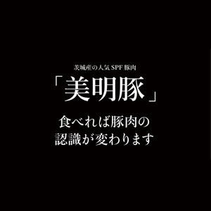 【数量限定】美明豚の水戸しゃぶしゃぶ鍋 梅だし（バラ250g ＆ロース250g）（MG-2）