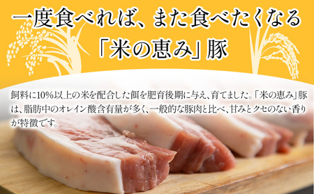「米の恵み」豚バラセット (焼肉・しゃぶしゃぶ) 約1kg | お肉 肉 おにく にく 豚 豚肉 国産豚肉 ブランド豚 豚バラ セット 焼肉 焼き肉 しゃぶしゃぶ 惣菜 おかず 冷凍 国産 大分県産 九州産 大分県 中津市