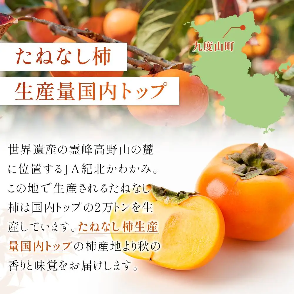 ［2026年10月上旬～発送］和歌山県産 秀品 平核無柿 約7.5kg L ~ 2L サイズ 青秀品 たねなし柿 種無し柿 選果場 直送
