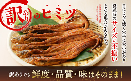 【訳あり】職人炭火焼き 穴子 （国産・韓国産）特選ブレンド6～14本（500g）タレ付き