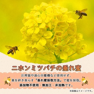 n351 数量限定 種子島産 蜂蜜 日本みつばちのはちみつ 300g × 2個 ハチミツ 垂れ蜜 百花蜜 【ひさちゃん養蜂園】