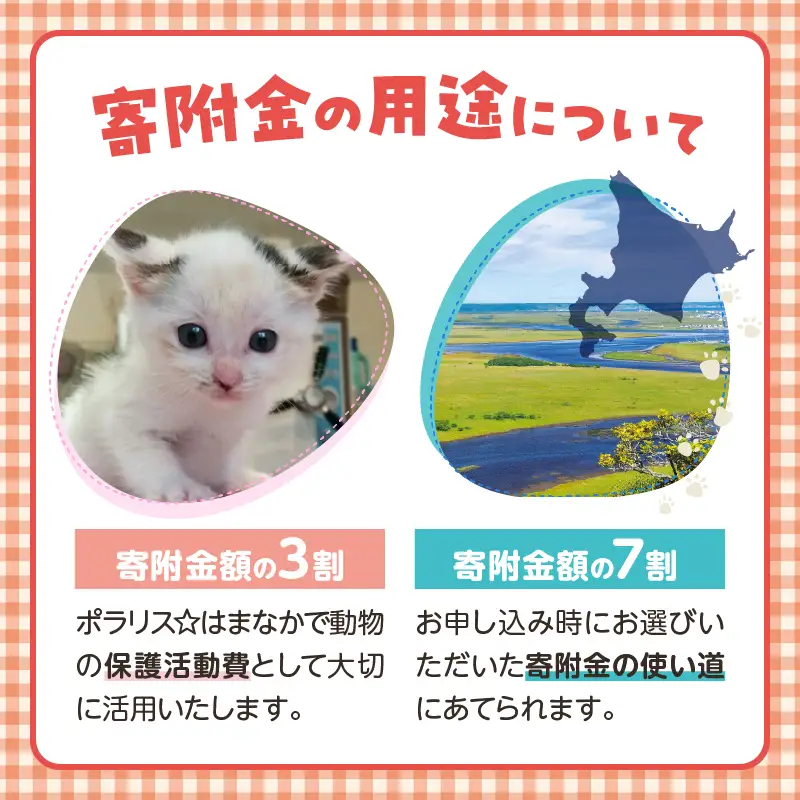 【動物愛護ボランティア】浜中町「ポラリス☆はまなか」を支援　4000円分 返礼品なし_H0048-004