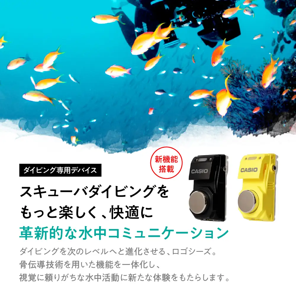 CASIO ロゴシーズⅡ LGS-RG007*2 マットイエロー