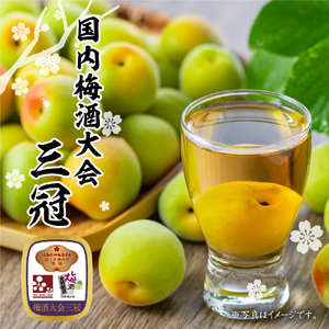 梅酒 小嶋総本店 東光 吟醸梅酒 1,800ml