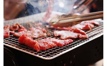 【桜屋】GI くまもとあか牛 焼肉用 500g 国産 熊本県産 地理的表示 認定ブランド牛 褐毛和種 あかげわしゅ ブランド牛 熊本県認定 和牛 あか牛 焼肉 BBQ 炒め物 希少 阿蘇 小国町 小国郷 贈答 ギフト