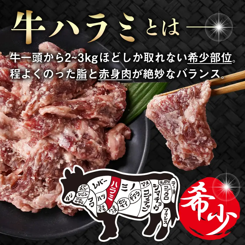 牛ハラミ 塩麹タレ漬け900g〔LG8J-33-025-900g〕_(都城市)  味付き 牛肉 真空 小分け