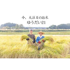 ゆうだい21（減農薬米） 精米 2kg ｜お米 減農薬 栃木県 大田原市