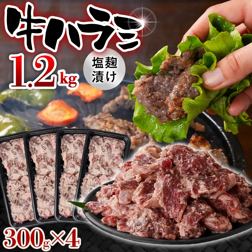 牛ハラミ 塩麹タレ漬け1.2kg〔12J-33-025-1200g〕_(都城市)  味付き 牛肉 真空 小分け