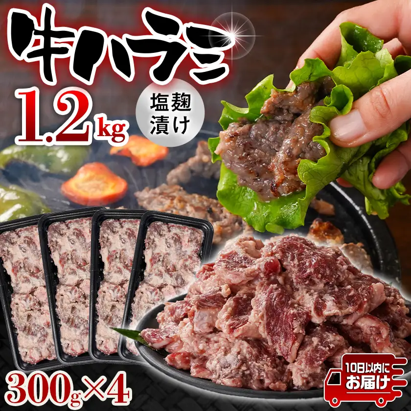 牛ハラミ 塩麹タレ漬け1.2kg≪みやこんじょ特急便≫〔12J-33-025-1200g-Q〕_(都城市)  味付き 牛肉 真空 小分け