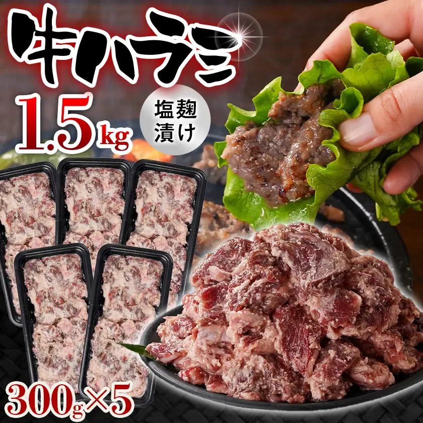 牛ハラミ 塩麹タレ漬け1.5kg〔14J-33-025-1500g〕_(都城市)  味付き 牛肉 真空 小分け
