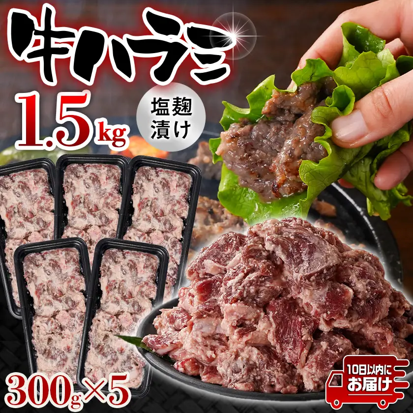 牛ハラミ 塩麹タレ漬け1.5kg≪みやこんじょ特急便≫〔14J-33-025-1500g-Q〕_(都城市)  味付き 牛肉 真空 小分け