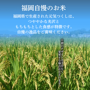元気つくし 10kg 精米 (福岡県認定地域資源) 米 10kg 人気 ブランド米 福岡県産米 産地直送 お米 おこめ こめ ゴハン メシ 飯 夕ご飯 美味しいご飯 米 白米 ライス ごはん 防災 備蓄 福岡 川崎 DEI014_y